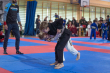 grand prix polski w BJJ ..5).jpg