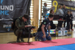 grand prix polski w BJJ ..5).jpg