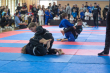 grand prix polski w BJJ ..5).jpg