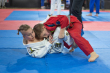 grand prix polski w BJJ ..5).jpg