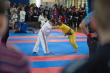 grand prix polski w BJJ ..5).jpg