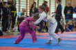 grand prix polski w BJJ ..5).jpg