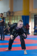 grand prix polski w BJJ ..5).jpg